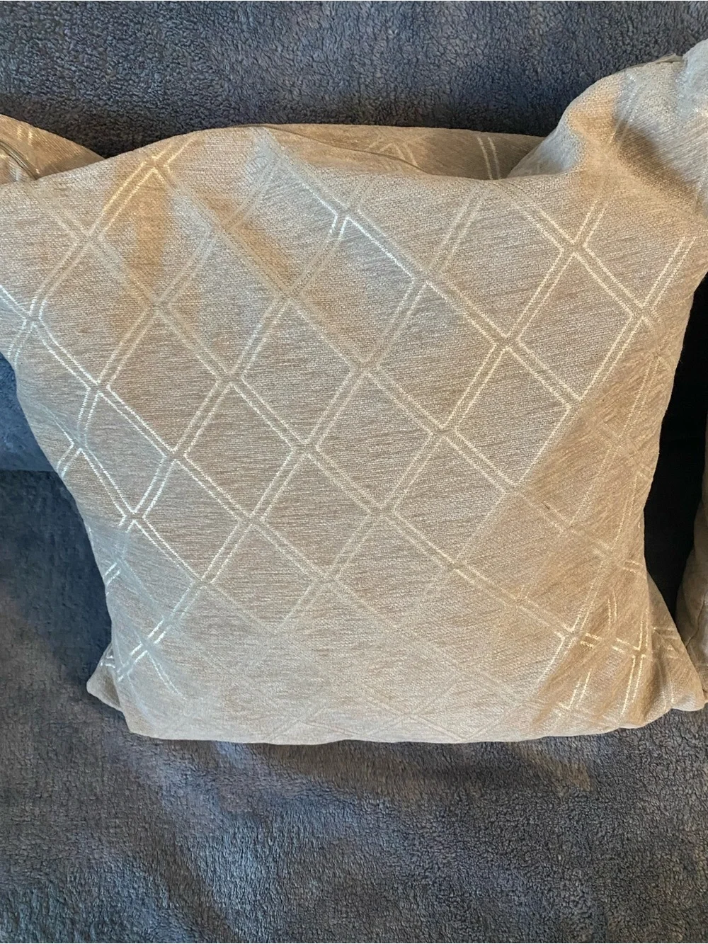 Gray with Silver-Pattern Throw Pillow Pair